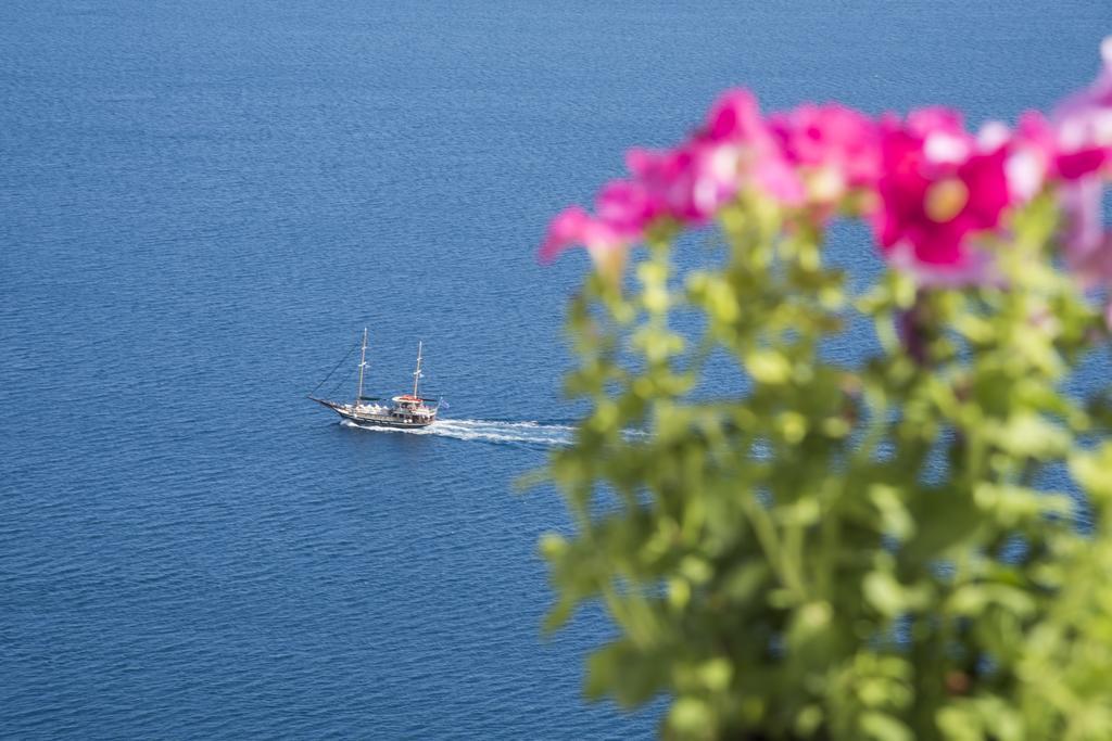 Ambition (adults Only) 3* Οία